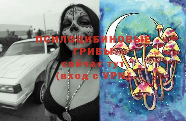 гашик Алексеевка