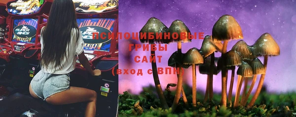 амфетамин Алексин