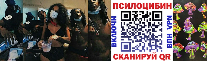 Псилоцибиновые грибы MAGIC MUSHROOMS  Камбарка 