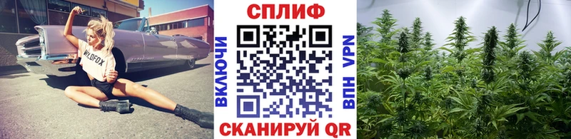 OMG вход  продажа наркотиков  Камбарка  Конопля Ganja 